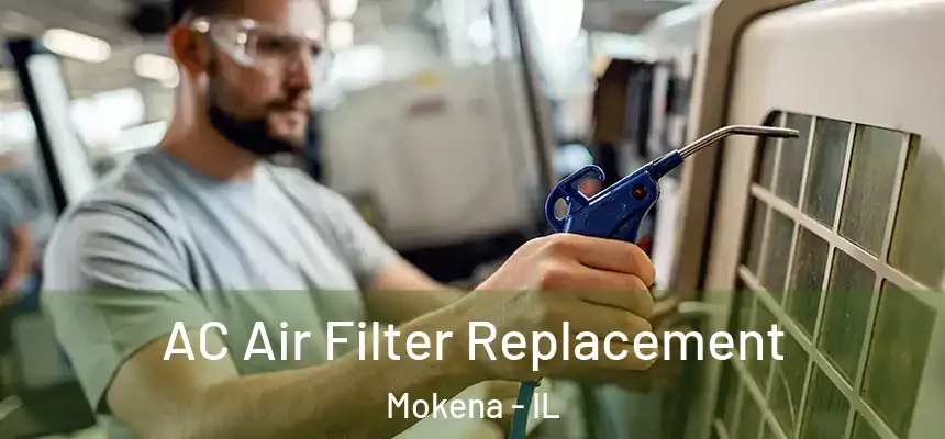  AC Air Filter Replacement Mokena - IL