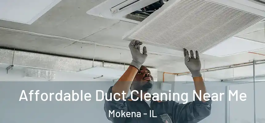  Affordable Duct Cleaning Near Me Mokena - IL
