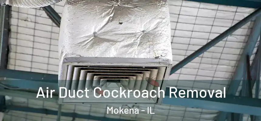 Air Duct Cockroach Removal Mokena - IL