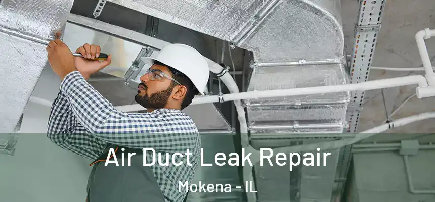  Air Duct Leak Repair Mokena - IL