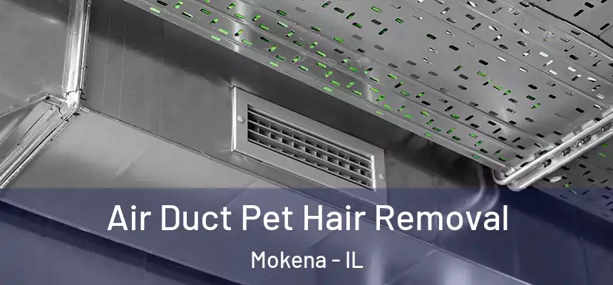  Air Duct Pet Hair Removal Mokena - IL