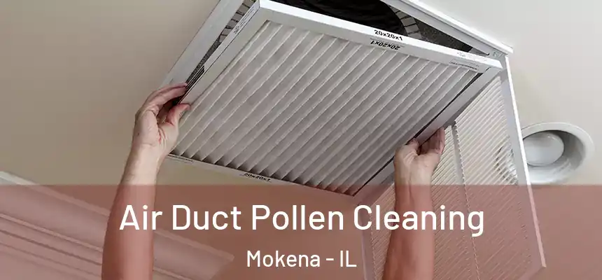  Air Duct Pollen Cleaning Mokena - IL