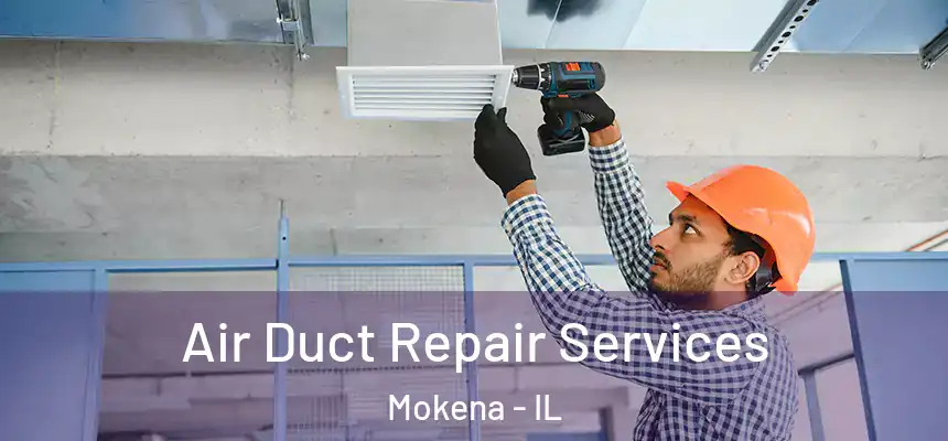  Air Duct Repair Services Mokena - IL