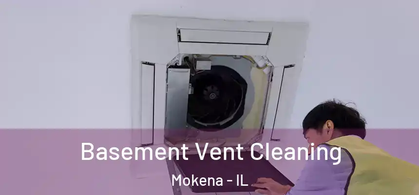  Basement Vent Cleaning Mokena - IL