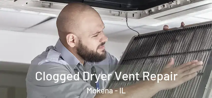  Clogged Dryer Vent Repair Mokena - IL