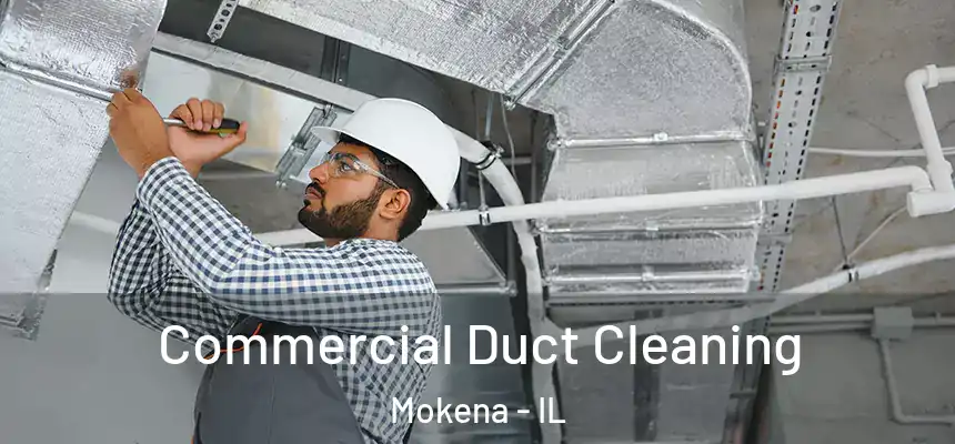  Commercial Duct Cleaning Mokena - IL