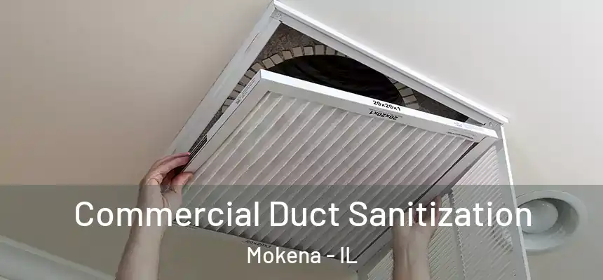  Commercial Duct Sanitization Mokena - IL