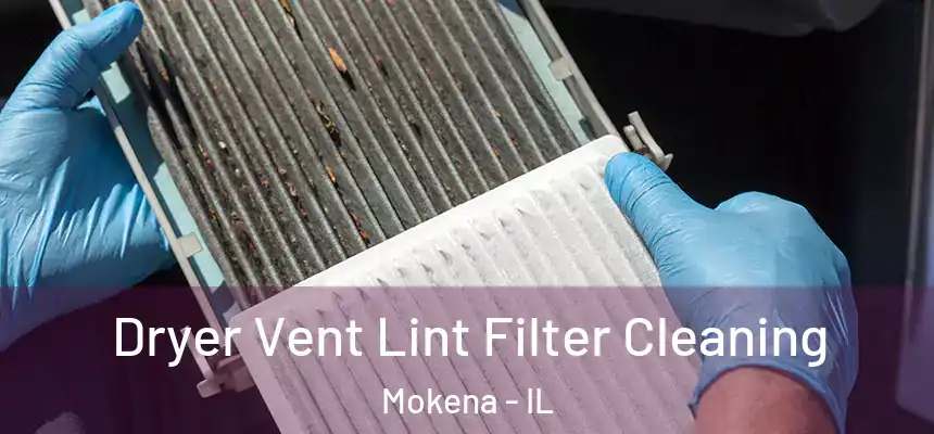  Dryer Vent Lint Filter Cleaning Mokena - IL