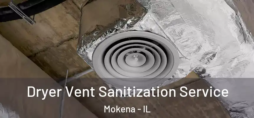  Dryer Vent Sanitization Service Mokena - IL