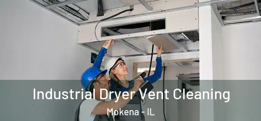  Industrial Dryer Vent Cleaning Mokena - IL