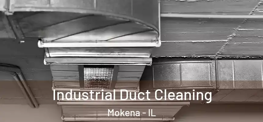  Industrial Duct Cleaning Mokena - IL