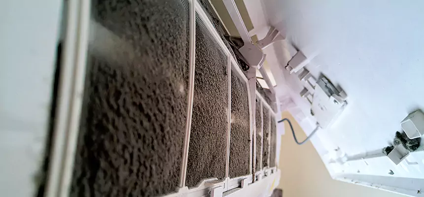 Preventive Air Duct Bacteria Removal in Mokena