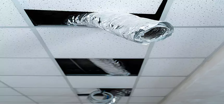 Affordable HVAC Sanitizing After Pest Removal in Mokena