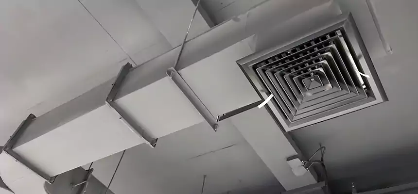 Restorative Allergy Relief Vent Cleaning – Coil, Blower & Housing Detail in Mokena