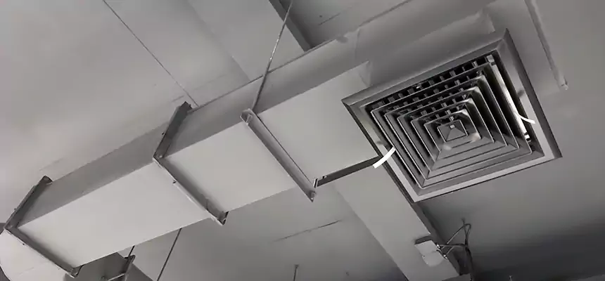 Our Pest Removal From Ducts Services in Mokena, IL