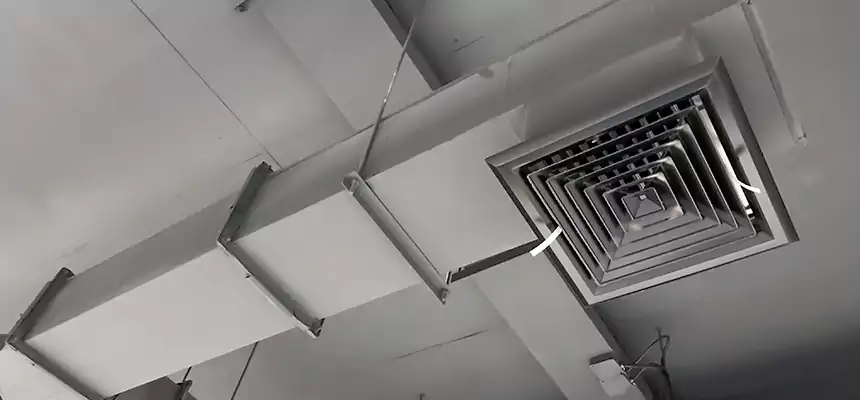 Our Rodent Droppings In Vents Services in Mokena, IL