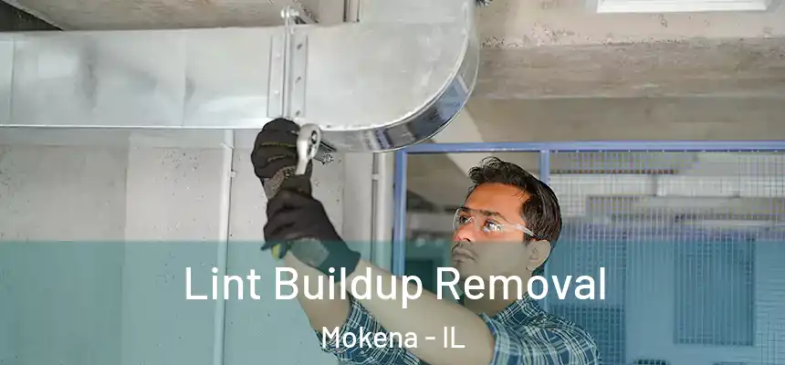  Lint Buildup Removal Mokena - IL