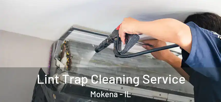  Lint Trap Cleaning Service Mokena - IL