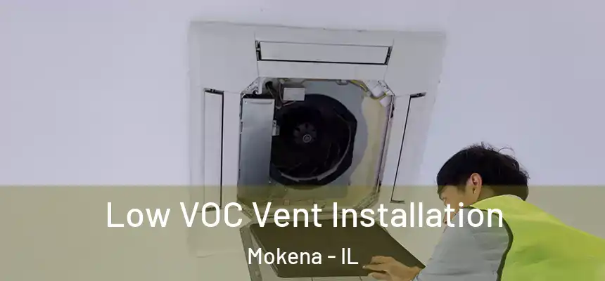  Low VOC Vent Installation Mokena - IL