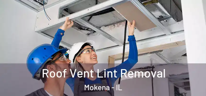  Roof Vent Lint Removal Mokena - IL