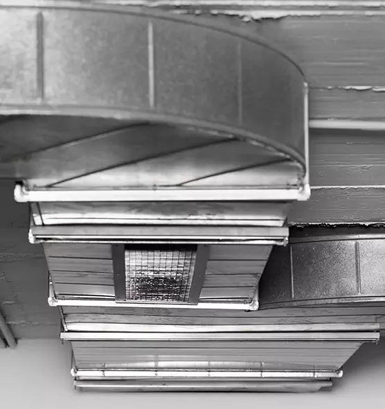 Professional Air Duct Pest Removal in Mokena, IL