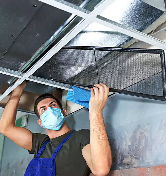 Professional Air Duct Pollen Cleaning in Mokena, IL