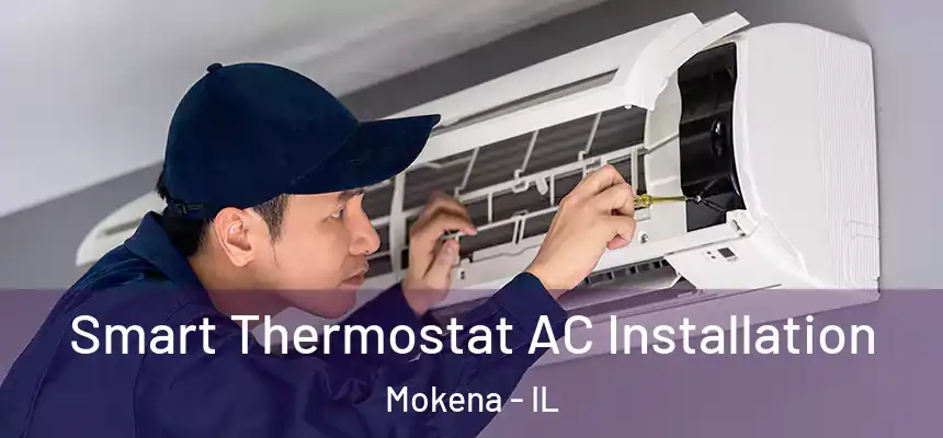  Smart Thermostat AC Installation Mokena - IL