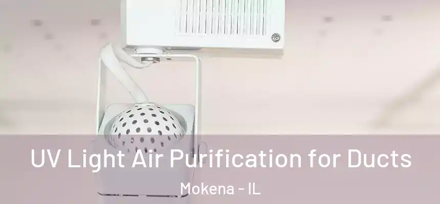  UV Light Air Purification for Ducts Mokena - IL
