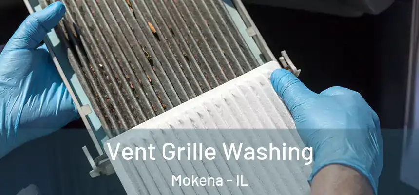  Vent Grille Washing Mokena - IL