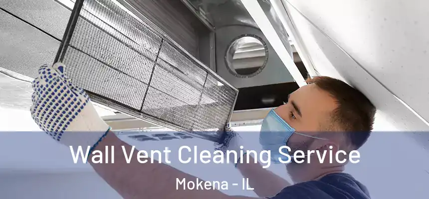  Wall Vent Cleaning Service Mokena - IL